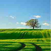 kubernetes权﻿威‍指﻿南‍pdf